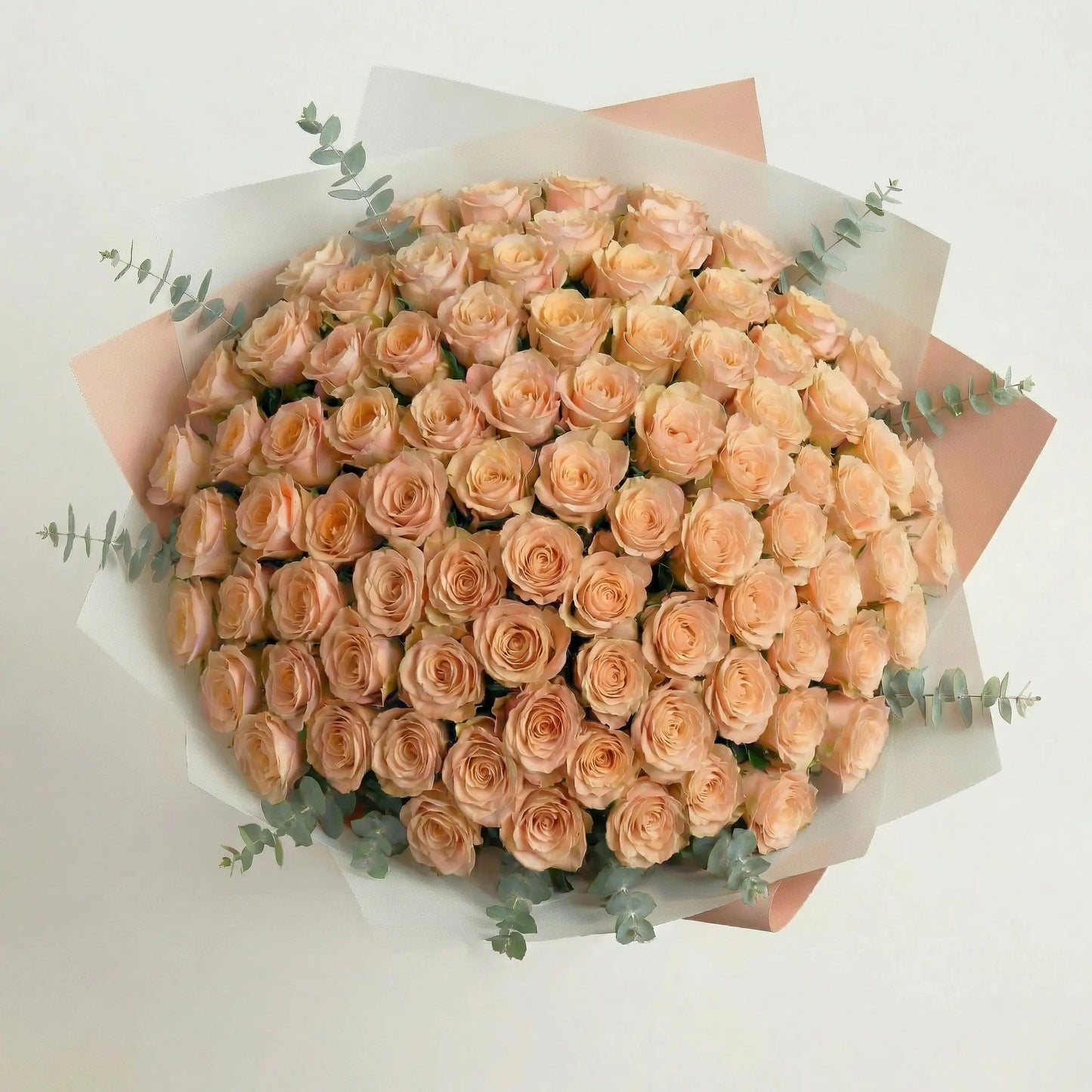 Ramo de Alta Gama de 100 Rosas Color Durazno