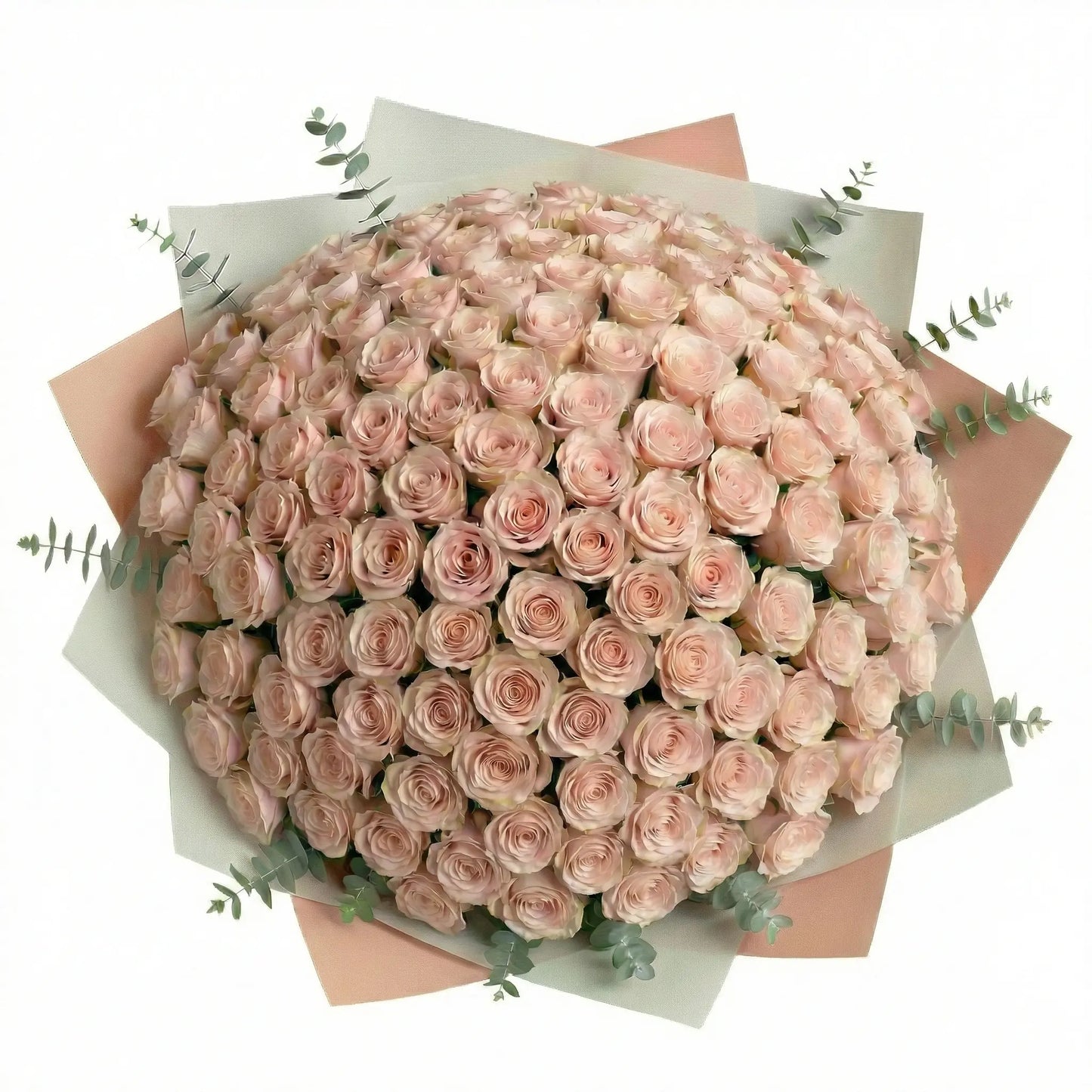 Ramo de Alta Gama de 100 Rosas Rosadas