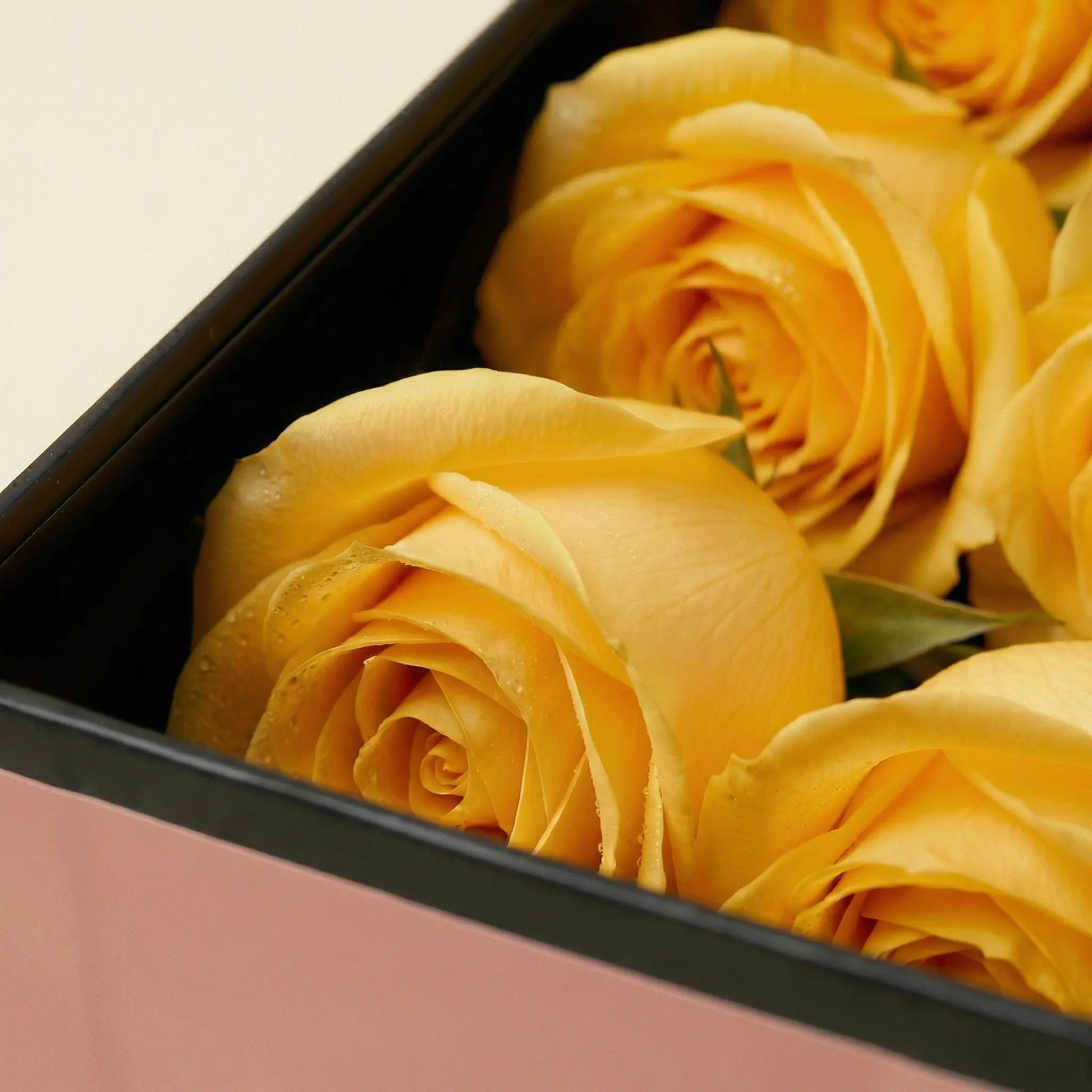Zoom in rosas amarelas caixa flute box